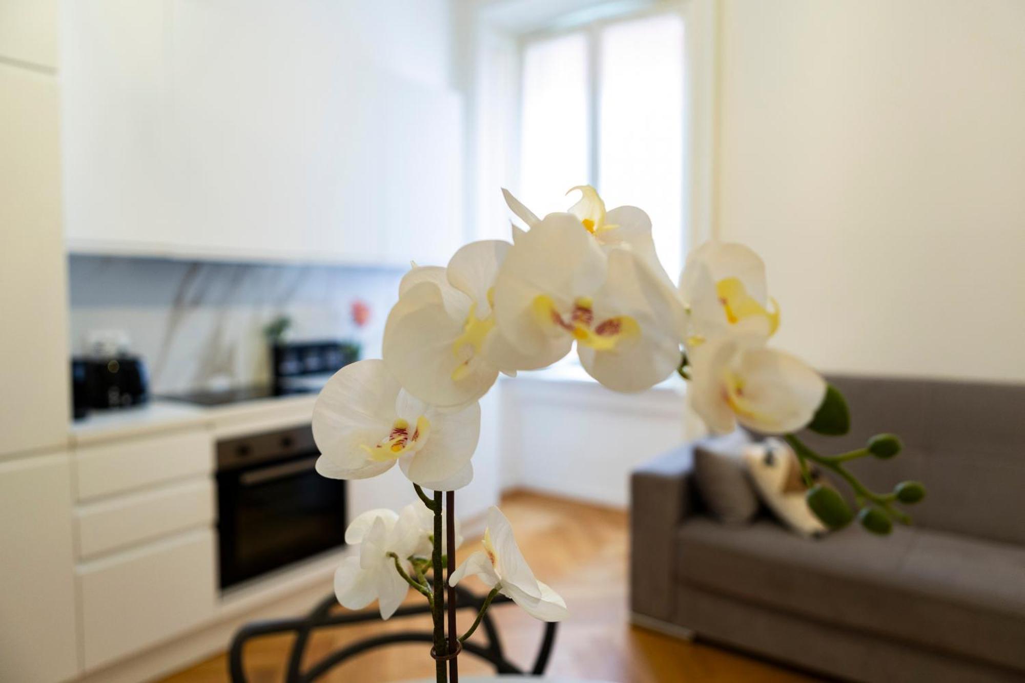 Macchi Delicious Apartment By 101Flats Milano Dış mekan fotoğraf